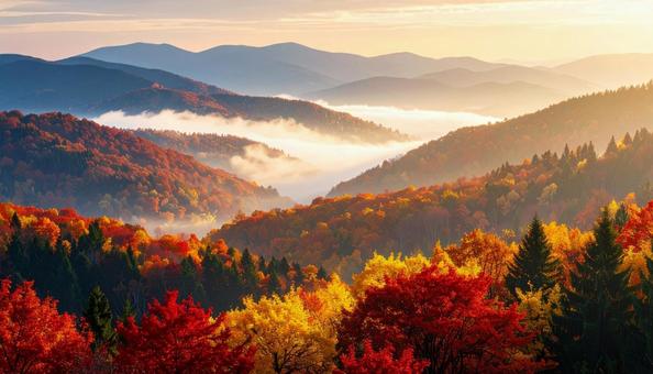 朝日が照らす雲海と紅葉の山並み 朝日が照らす雲海と紅葉の山並みの写真