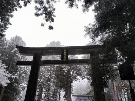 冬の日光東照宮 冬の日光東照宮 鳥居,日光東照宮,参道の写真素材