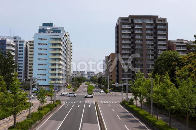 マンション街の大通り交差点 交差点,大通り,マンション街の写真素材
