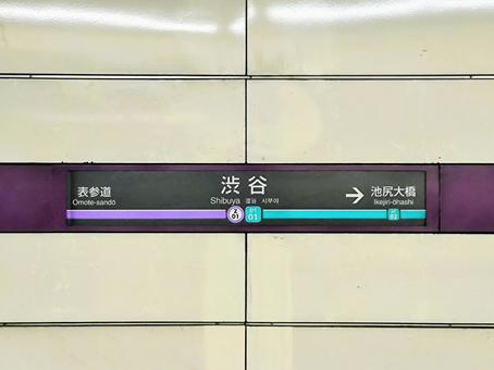 東急田園都市線、渋谷駅、駅名板 東急田園都市線、渋谷駅、駅名板の写真