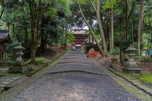 京都 日吉大社 東本宮 参道と楼門 京都 日吉大社 東本宮 参道と楼門 日吉大社,日枝社,日吉の写真素材