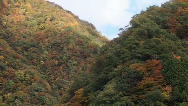 黒部峡谷に秋を訪ねての写真