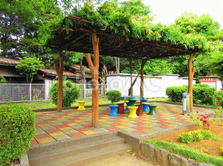 住吉公園の藤棚と椅子１ 住吉公園,公園,藤棚の写真素材