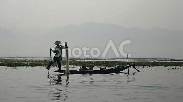 ミャンマーのインレー湖ー船頭さんの技 ミャンマー,インレー湖,漁師さんの写真素材