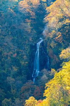蔵王の紅葉(38) 蔵王,紅葉,秋の写真素材