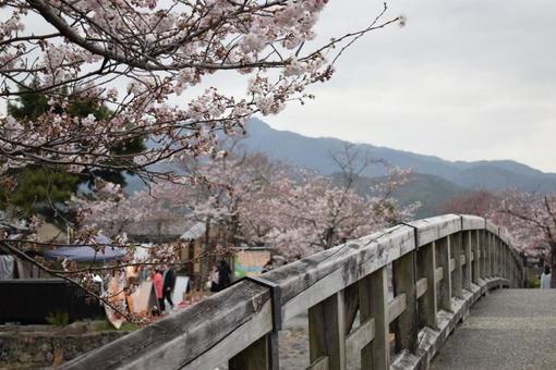桜と橋の写真