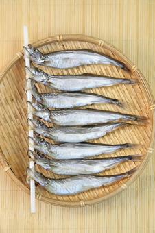 ししゃも ししゃも ししゃも,子持ちししゃも,魚の写真素材