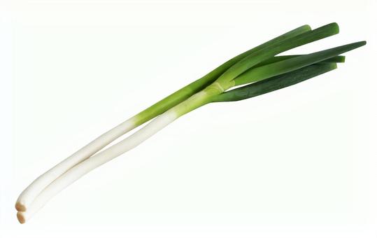 2 green onions, JPG 2 green onions, JPG