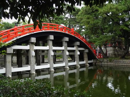 住吉大社の太鼓橋 住吉大社の太鼓橋 太鼓橋,反橋,住吉大社の写真素材