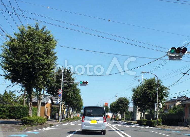 街路樹が美しい街並み 街路樹,美しい,空の写真素材