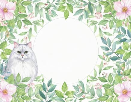 ペルシャ猫と花のフレームの写真