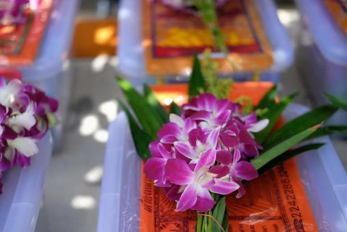 蘭の花と宝くじ 宝くじ,蘭,デンファレの写真素材