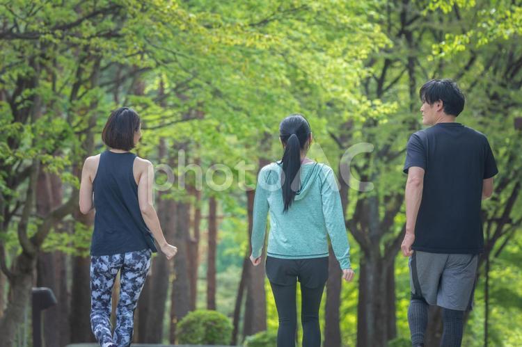 ウォーキングする男女（3人・後ろ姿） ウォーキング,散歩,運動の写真素材