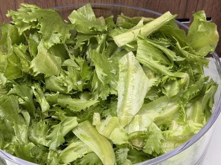 レタス レタス,おいしい,ランチの写真素材