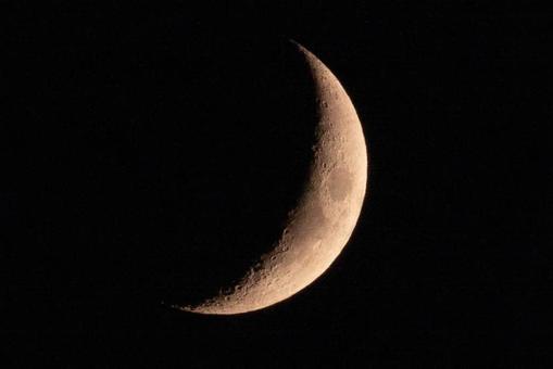 月齢3.8 月齢3.8の写真