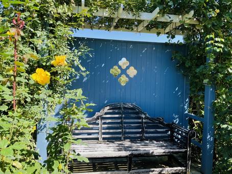 木陰のベンチ 木陰,ベンチ,植物の写真素材