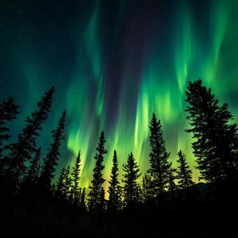 大自然のスペクタクル:空を覆うオーロラ 大自然のスペクタクル:空を覆うオーロラの写真