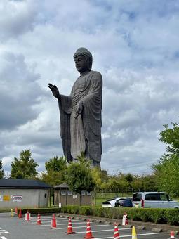 牛久大仏 牛久大仏 巨大,仏像,寺院の写真素材