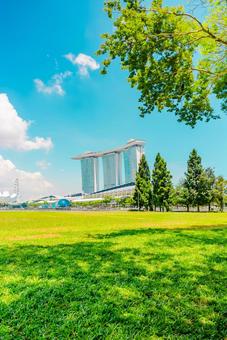 【シンガポール】緑とマリーナベイサンズ シンガポール,マリーナベイサンズ,ビルの写真素材