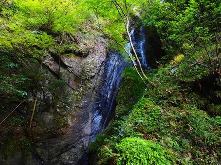 川辺町南天の滝の写真