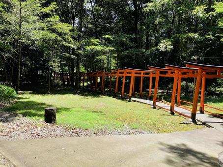 Photo, kashihara shrine, kashihara city, nara prefecture, a shrine, 