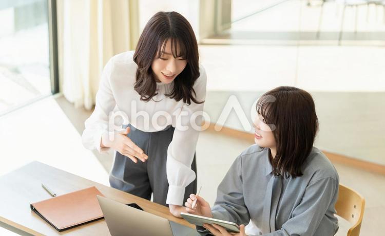 ミーティングをする2人のビジネスウーマン 女性,ビジネス,2人の写真素材