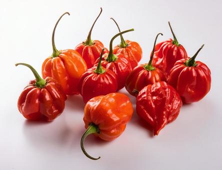 沢山のハバネロの写真