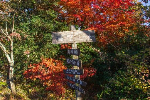 高尾山山頂の方向案内板 高尾山,山頂,方向案内板の写真素材