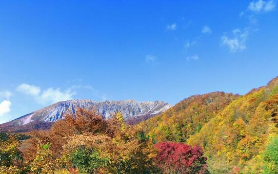 秋晴れの青空に映える大山の紅葉 紅葉,大山,鳥取大山の写真素材