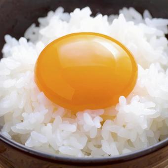 たまごかけご飯 AI生成画像 たまごかけご飯 AI生成画像 の写真