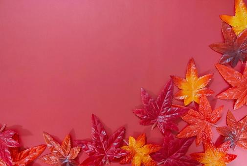 秋 秋 秋,もみじ,紅葉の写真素材