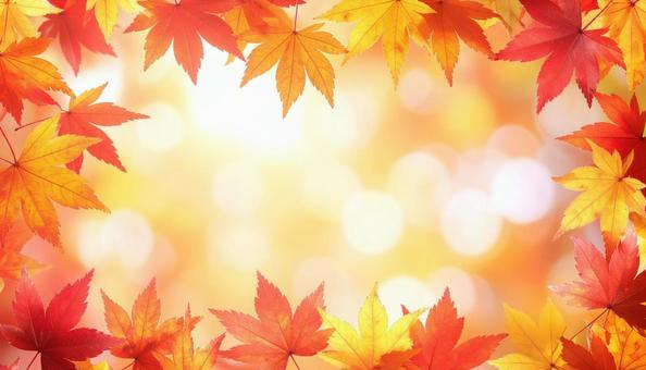 秋の紅葉フレーム 秋の紅葉フレームの写真