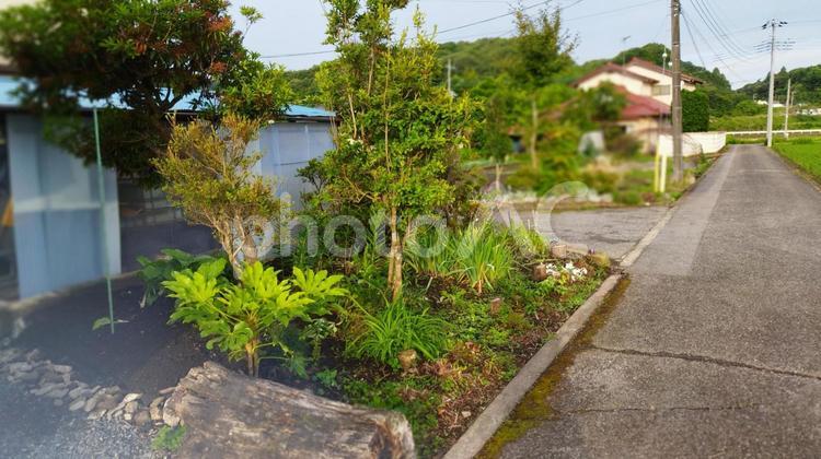 自宅の庭と道 田舎,農道,私道の写真素材