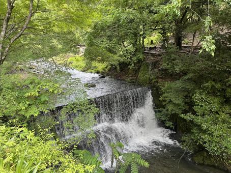 貴船川 貴船,川,京都の写真素材