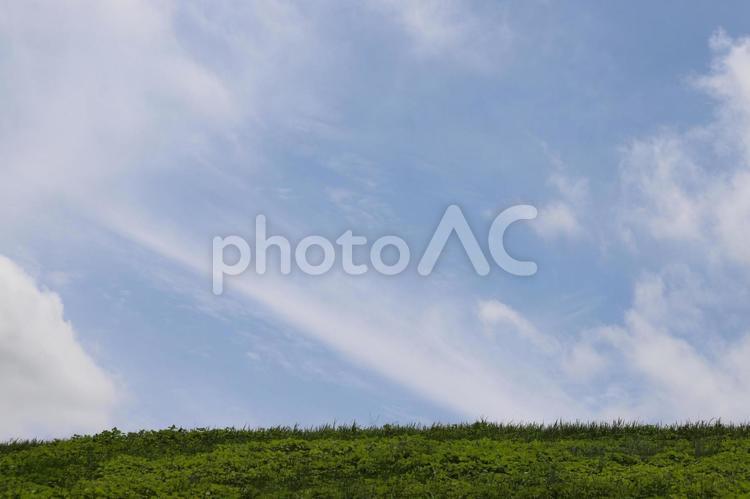 青空と丘 空,丘,青空の写真素材