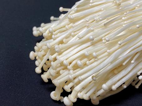 エノキ茸 エノキ茸 エノキ,エノキ茸,キノコの写真素材