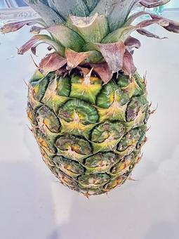 パイナップル パイナップルの写真