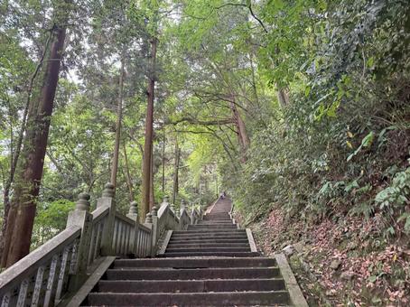 金刀比羅宮、奥ノ院に向かう参道 金刀比羅宮、奥ノ院に向かう参道の写真