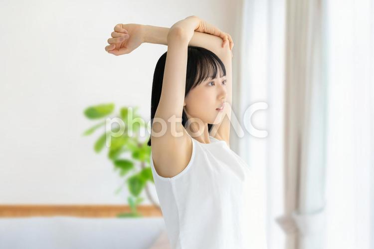 リビングでストレッチをする若い女性 女性,美容,健康の写真素材