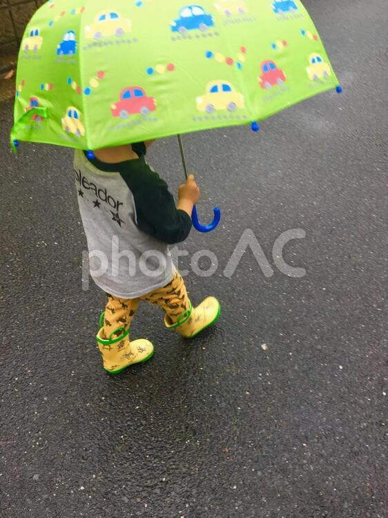 雨の中で傘をさす子供 雨,子供,通りの写真素材