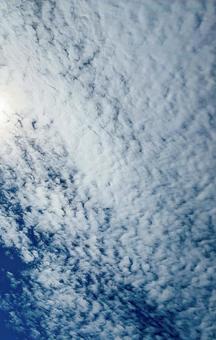 空に浮かぶ鱗雲。 空に浮かぶ鱗雲。の写真