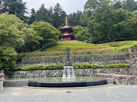 勝尾寺 勝尾寺の写真