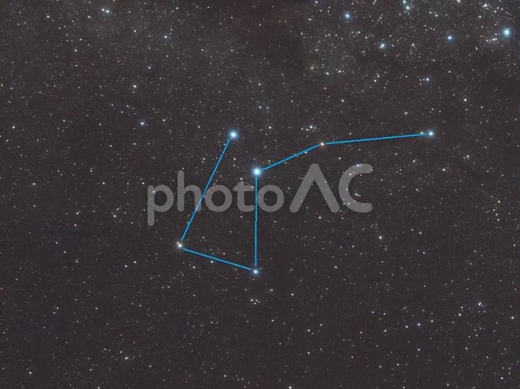 はえ座（星座線）・天体 はえ座,星座線,星座の写真素材