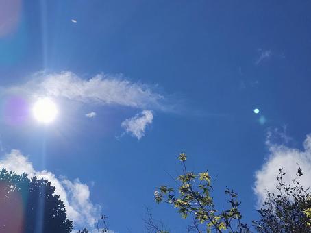 10月の青空 光条 2 10月の青空 光条 2 10月の青空,光条,風景の写真素材