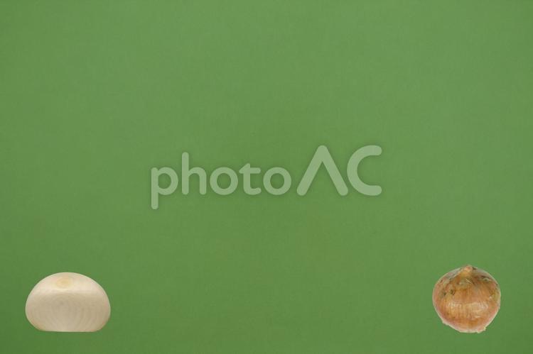 タイトル背景用玉ねぎ（緑背景） 玉ねぎ,たまねぎ,タマネギの写真素材