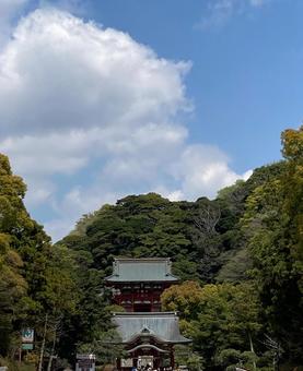 鶴岡八幡宮 鶴岡八幡宮 鶴岡八幡宮,鎌倉,神社の写真素材
