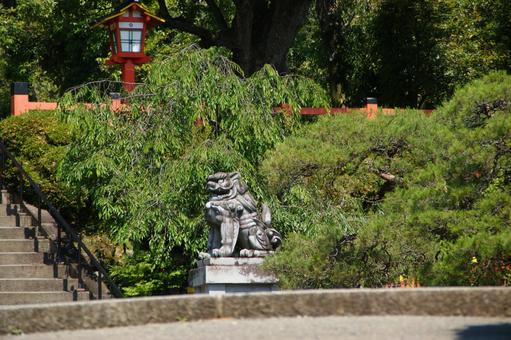 Kyoto sightseeing Funaokayama Takeisao Shrine Kara dog, JPG Kyoto sightseeing Funaokayama Takeisao Shrine Kara dog, 京都, 树格罗夫, 旅游, JPG