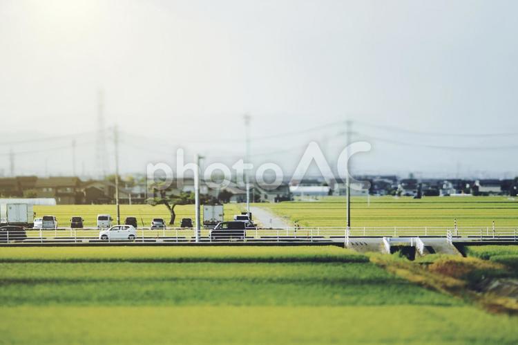 田園風景と道路 家,住宅,田園の写真素材