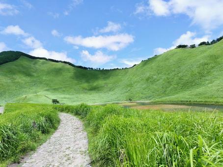 夏の曽爾高原 7 夏の曽爾高原 7 曽爾高原,夏,緑の写真素材