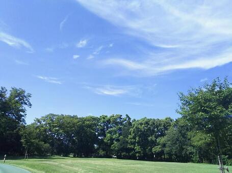 晴れた日の公園の写真